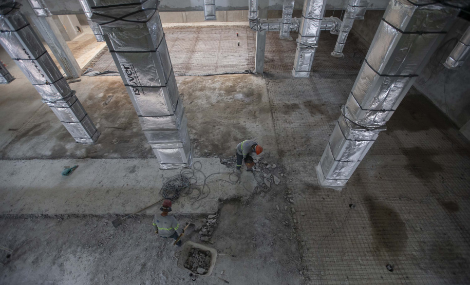 Tecpar fortaleceu ações para apoiar sanidade animal em todo o país