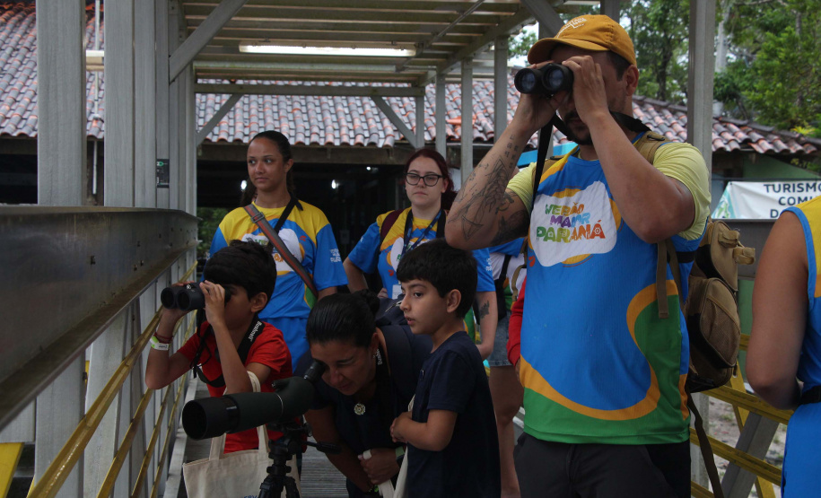 IAT VERÃO MAIOR AMBIENTAL