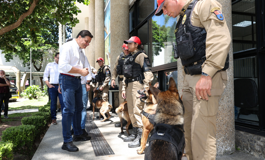 Reforço nas estradas: DER/PR entrega 36 viaturas e 5 cães ao Batalhão de Polícia Rodoviária