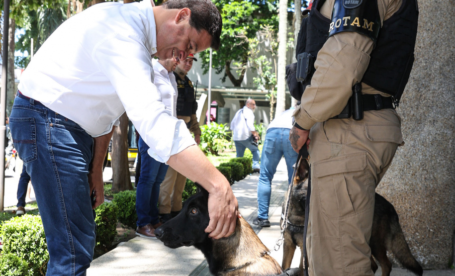 Reforço nas estradas: DER/PR entrega 36 viaturas e 5 cães ao Batalhão de Polícia Rodoviária
