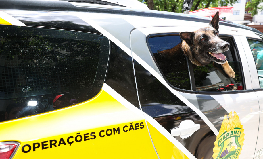 Reforço nas estradas: DER/PR entrega 36 viaturas e 5 cães ao Batalhão de Polícia Rodoviária