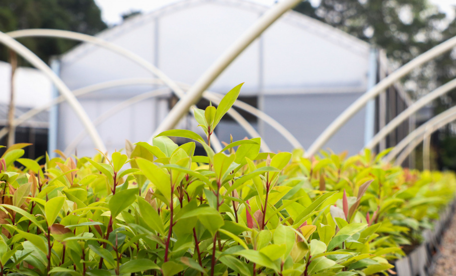 IAT INDENIZAÇÃO PETROBRAS