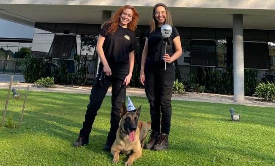 Conheça o Raman, primeiro integrante canino da Polícia Científica