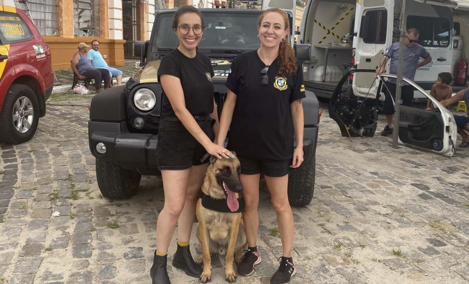 Conheça o Raman, primeiro integrante canino da Polícia Científica