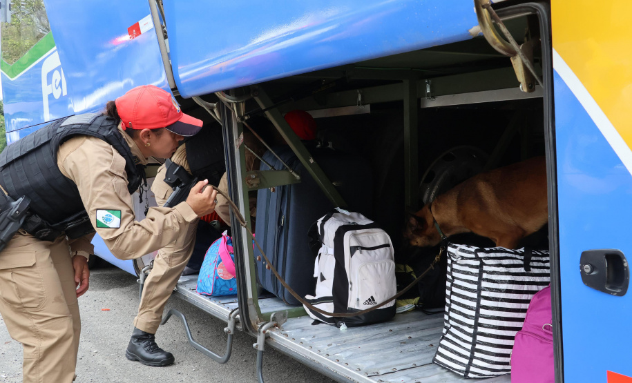 SESP FORÇA DE SEGURANÇA OPERAÇÃO RODOVIAS