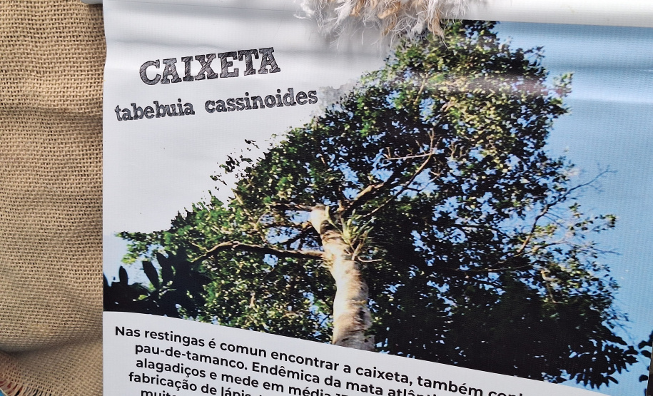 SETU EXPOSIÇÕES PARANAGUÁ