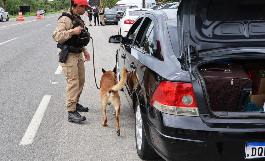 SESP FORÇA DE SEGURANÇA OPERAÇÃO RODOVIAS