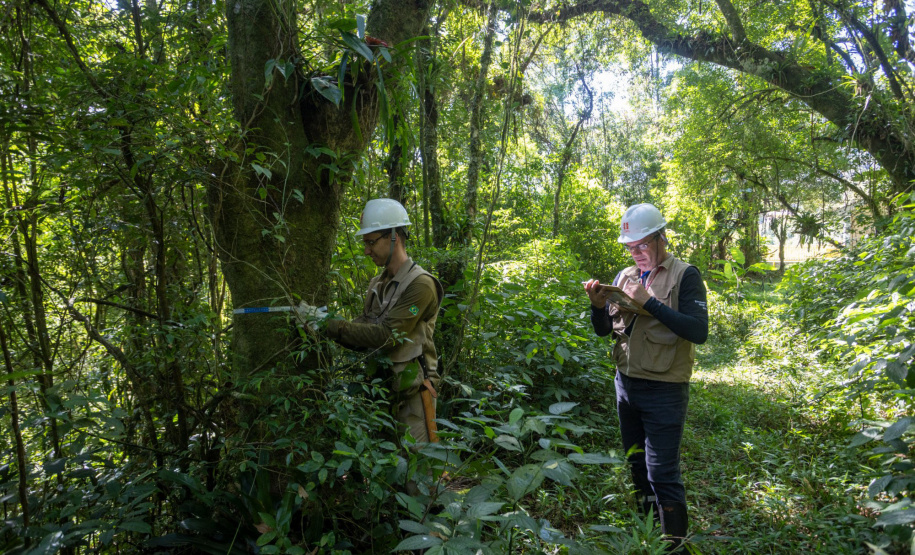 Copel conquista certificado de empresa sustentável na B3