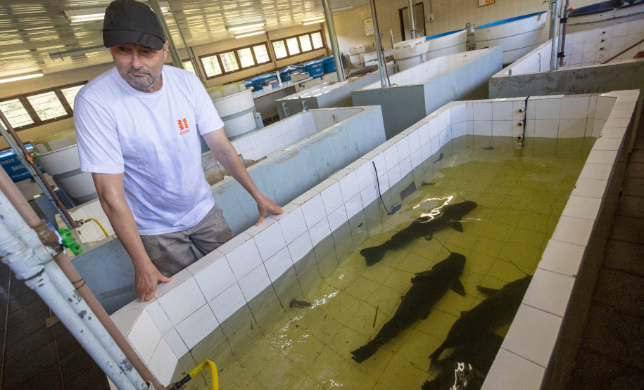 Copel conquista certificado de empresa sustentável na B3