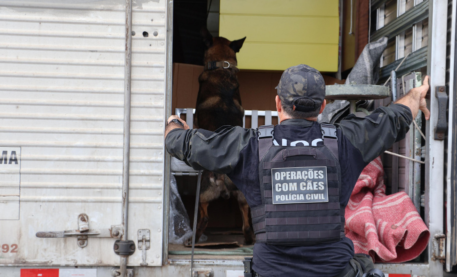 SESP FORÇA DE SEGURANÇA OPERAÇÃO RODOVIAS