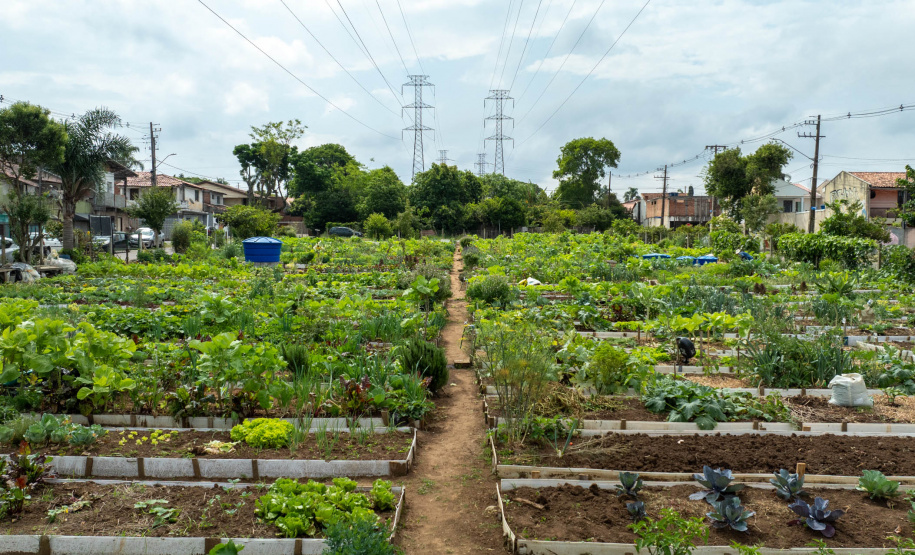 Programa de hortas comunitárias da Copel chega a 2025 com mais seis unidades