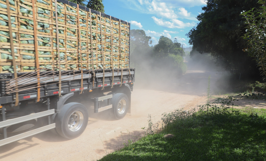 AMEP - MANDIRITUBA - SJP