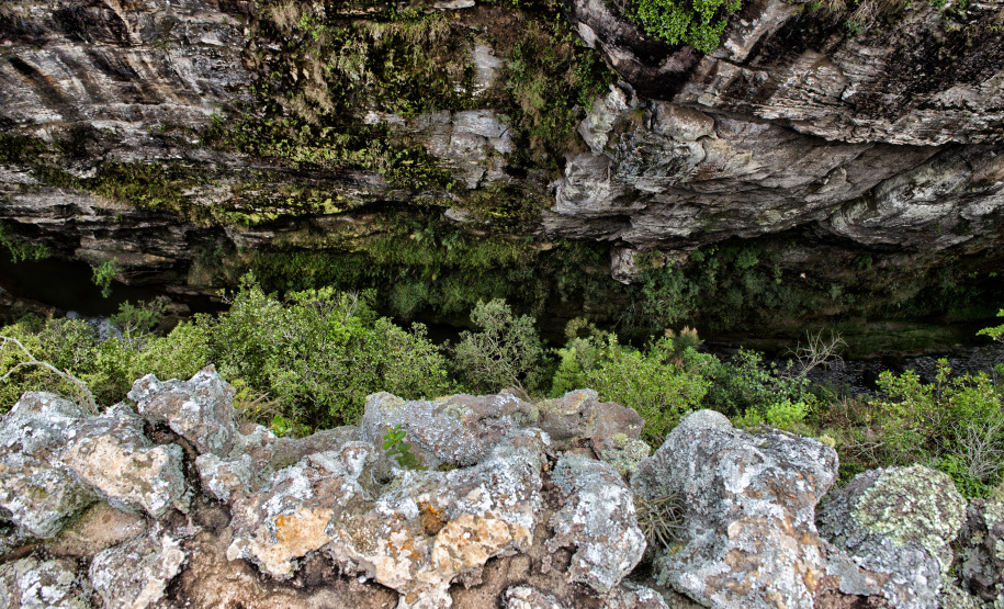 Ilha do Mel, Baitaca, Vale do Codó e Campinhos: visitas aos parques estaduais administrados pelo IAT cresceram quase 10% em 2024.