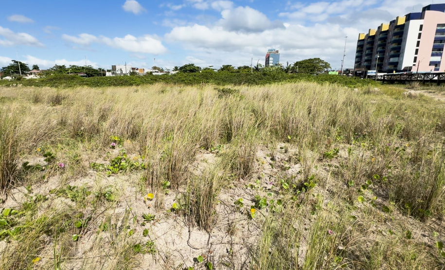 IAT EDUCAÇÃO AMBIENTAL PONTAL