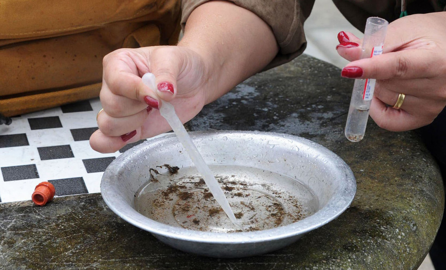 Tecpar credencia municípios para adotar plataforma inovadora no combate à dengue