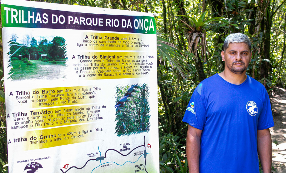 Equipe do IAT devolve tamanduá mirim à natureza
