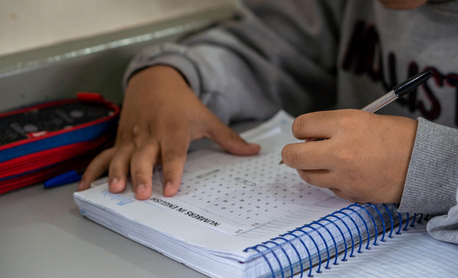 SEED INVESTIMENTO HISTÓRICO