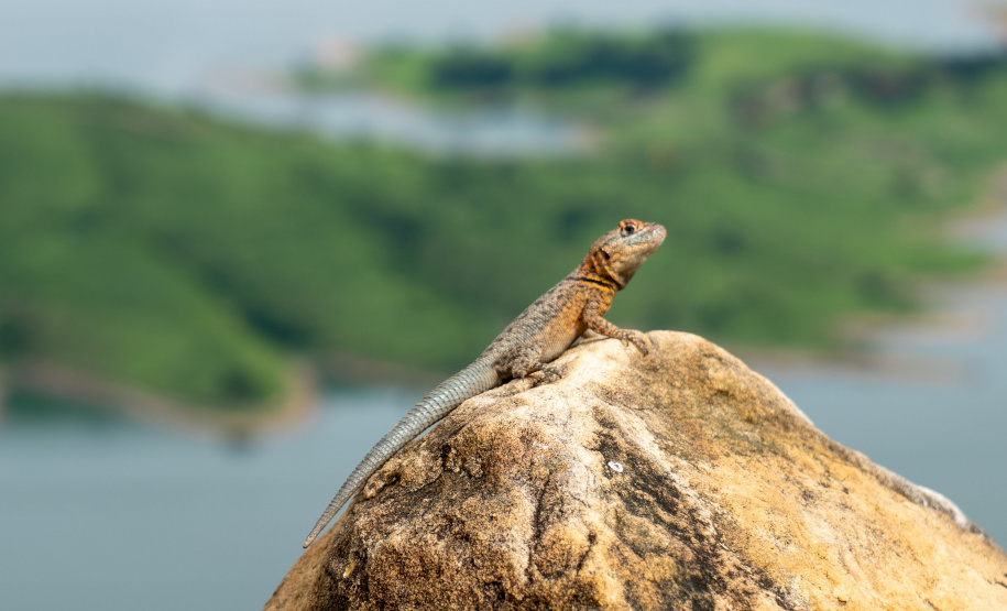 DESTINOS NORTE TURISTAS