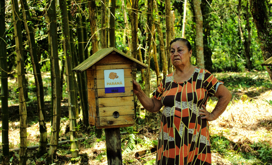 IAT EDUCAÇÃO AMBIENTAL ILHA DO MEL