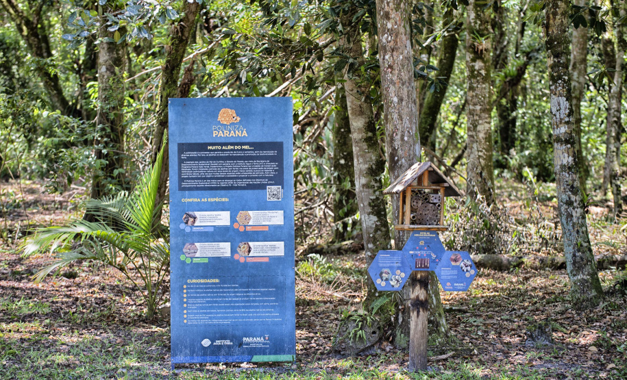 IAT EDUCAÇÃO AMBIENTAL ILHA DO MEL