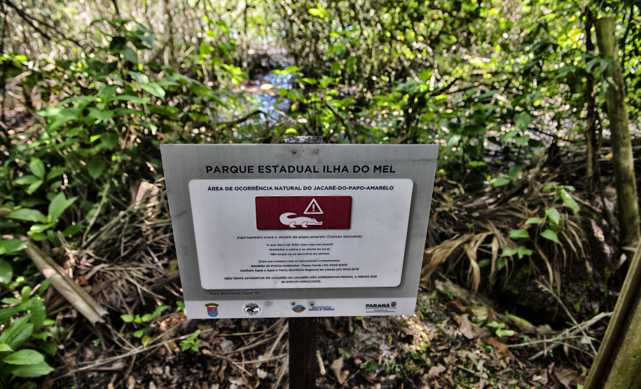 IAT EDUCAÇÃO AMBIENTAL ILHA DO MEL