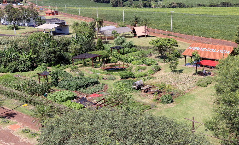 IDR-Paraná mostra novidades na Vitrine Tecnológica de Agroecologia no Show Rural