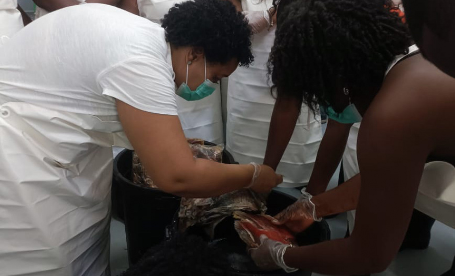 Projeto paranaense de produção de couro de peixe será implantado em Cabo Verde com apoio da ONU