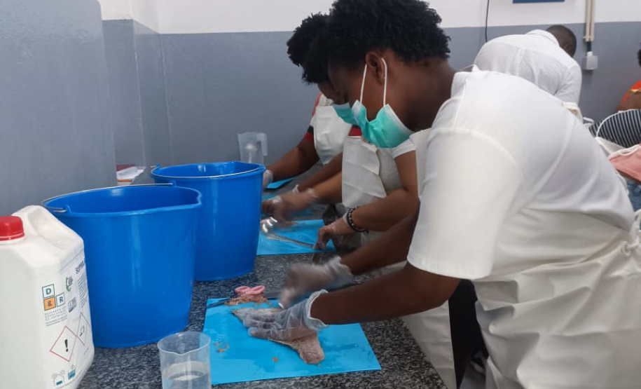 Projeto paranaense de produção de couro de peixe será implantado em Cabo Verde com apoio da ONU