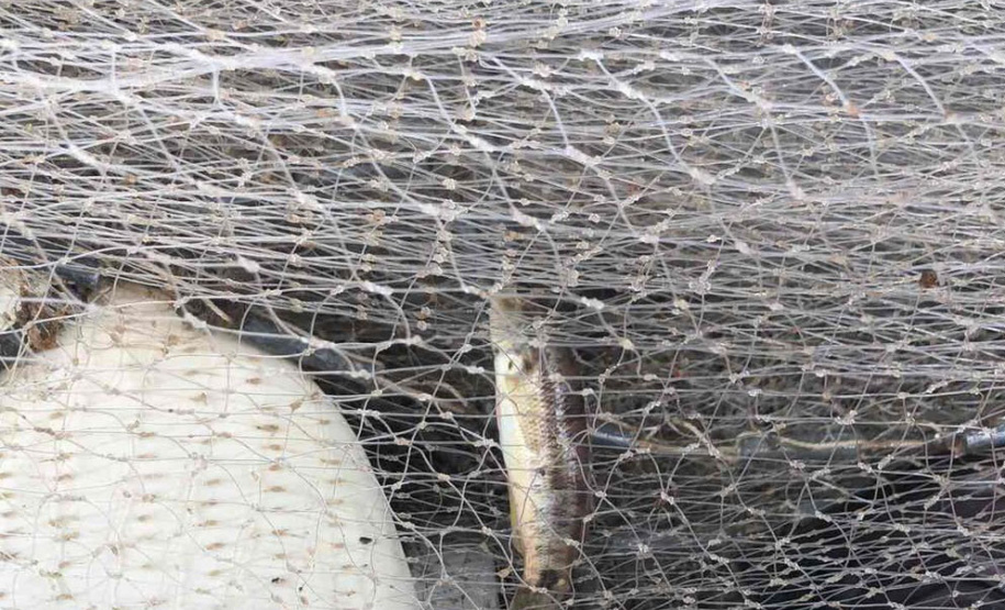 Operação do Instituto Água e Terra (IAT) contra a pesca predatória nas baías de Antonina e Paranaguá.