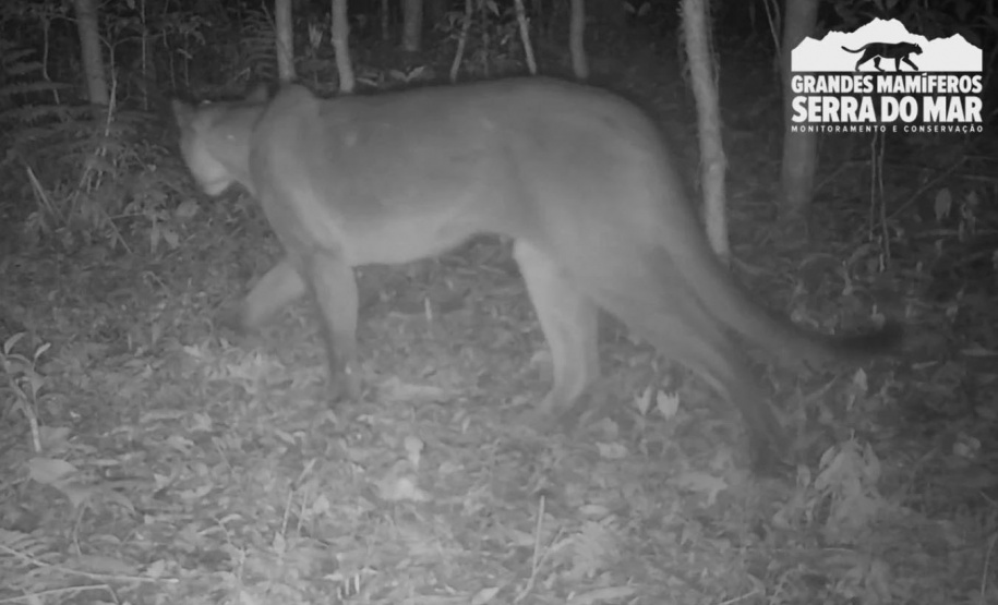 Copel conquista certificado de empresa sustentável na B3