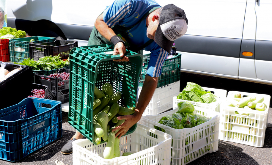 Governo divulga edital de R$ 77 milhões para Compra Direta de alimentos