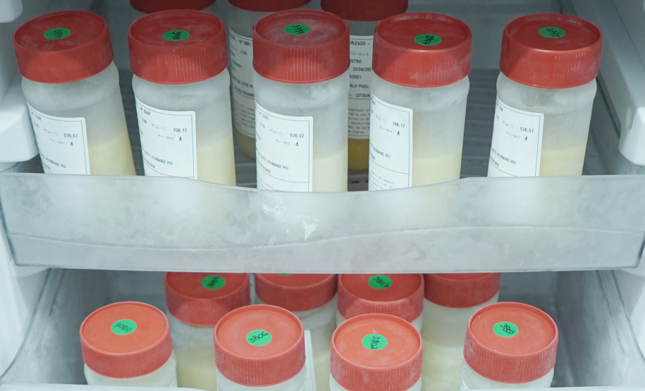 SETI BANCO DE LEITE REDE ESTADUAL