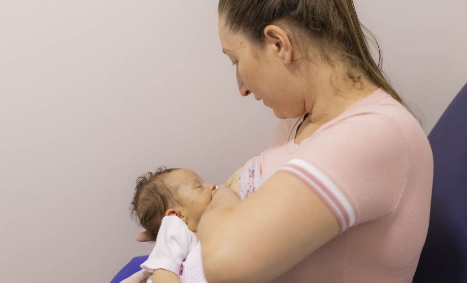 SETI BANCO DE LEITE REDE ESTADUAL