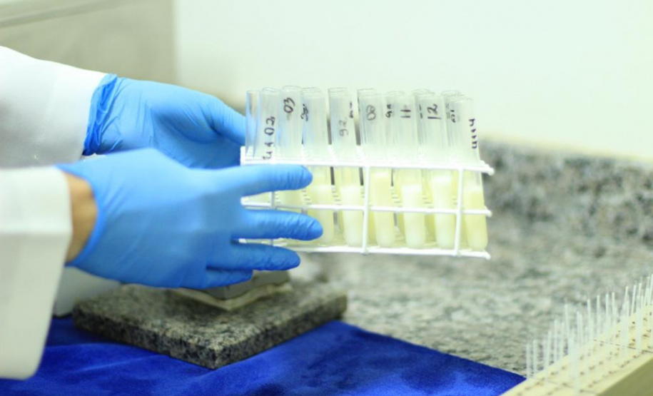 SETI BANCO DE LEITE REDE ESTADUAL