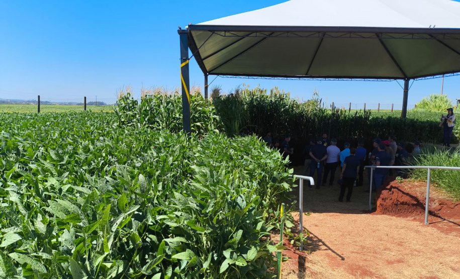 Agroshow Copagril, em Marechal Cândido Rondon