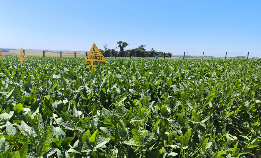Agroshow Copagril, em Marechal Cândido Rondon