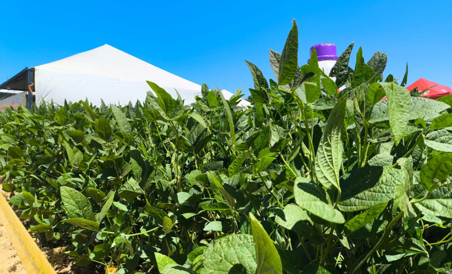 Agroshow Copagril, em Marechal Cândido Rondon