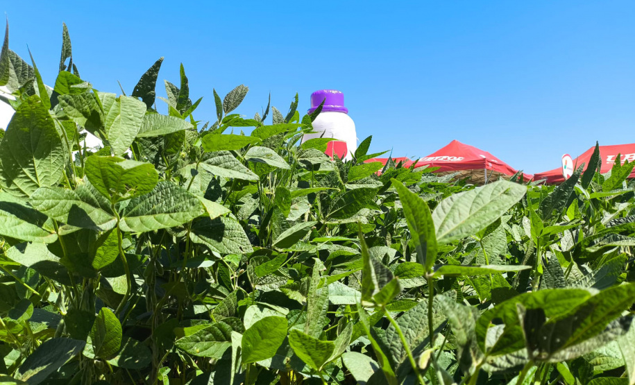 Agroshow Copagril, em Marechal Cândido Rondon