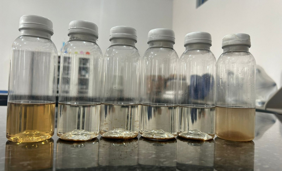 UNIOESTE TRANSFORMAM CABELO EM ADUBO