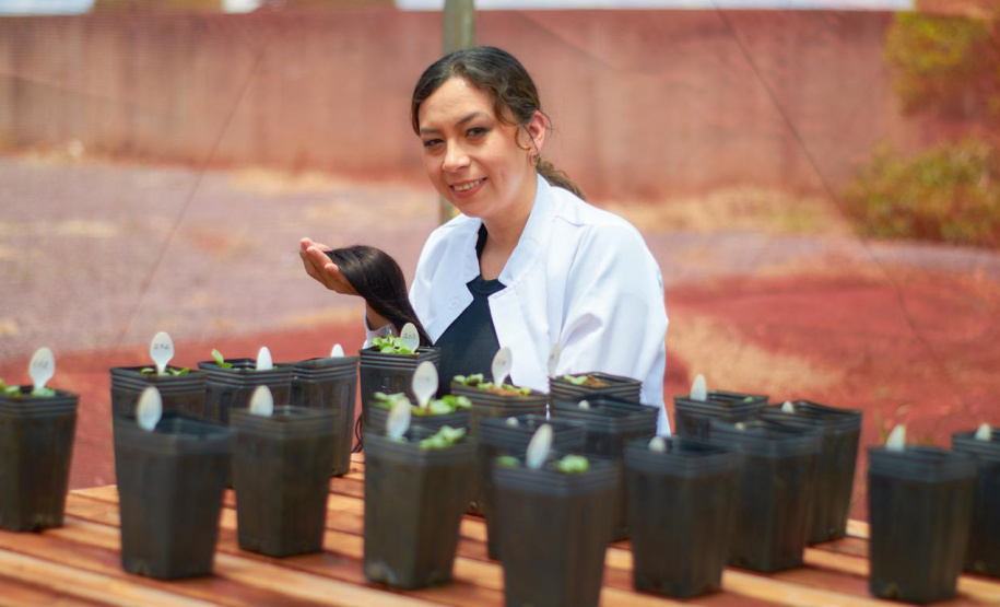 UNIOESTE TRANSFORMAM CABELO EM ADUBO