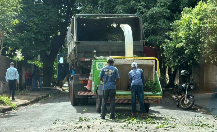 SEAB - Operação contra greening em Paranavaí