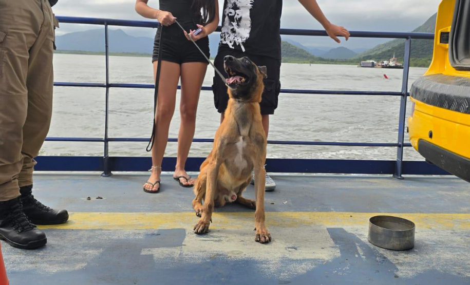 PCPR Operação Integrada reforça segurança na travessia de Guaratuba