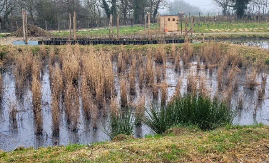SANEPAR MISSÃO TÉCNICA FRANÇA E ESPANHA