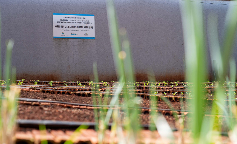 Robótica e tecnologia: estudantes da rede estadual deixam legado de inovação em escolas do Oeste