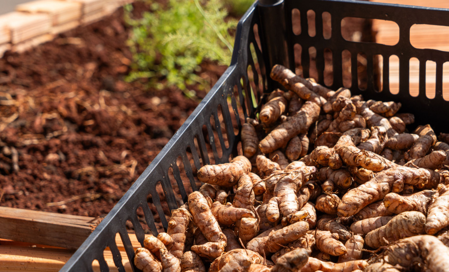 Robótica e tecnologia: estudantes da rede estadual deixam legado de inovação em escolas do Oeste