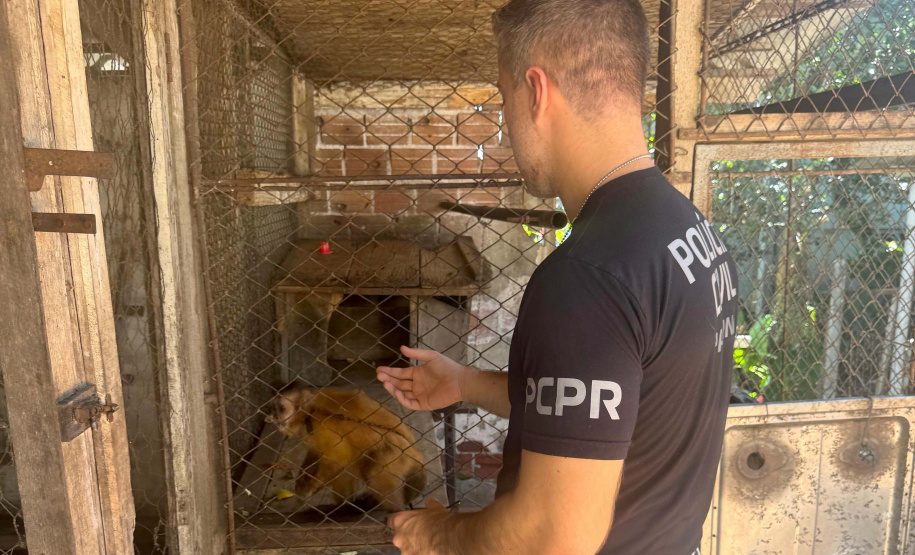 PCPR resgata macaco-prego que viveu 31 anos preso em uma gaiola em Colombo