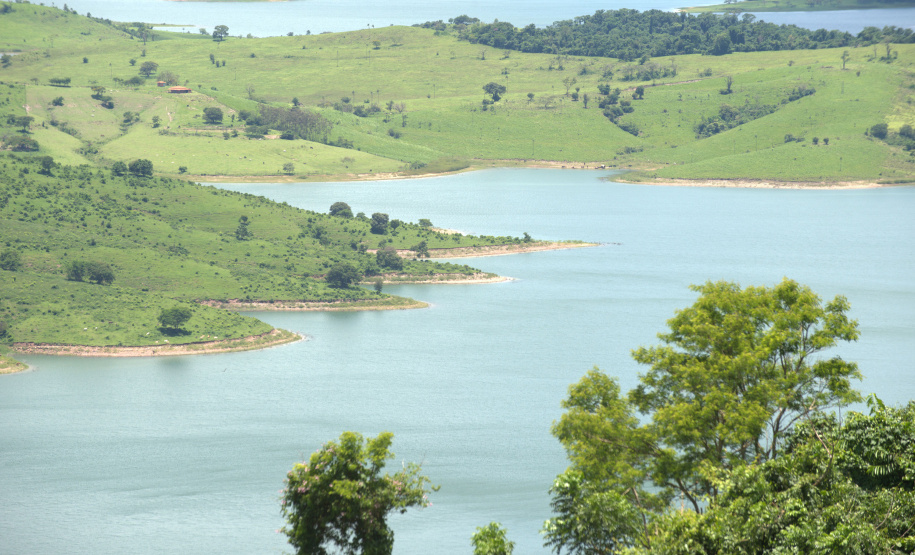 Paraná mais verde: Estado apresentou queda de 73% no desmatamento ilegal da Mata Atlântica entre 2023 e 2024.