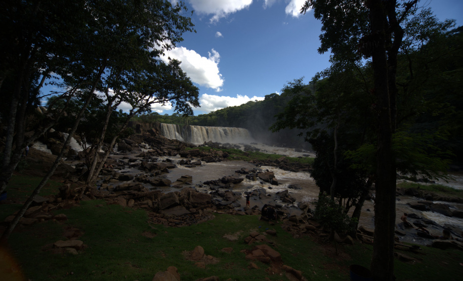 Paraná mais verde: Estado apresentou queda de 73% no desmatamento ilegal da Mata Atlântica entre 2023 e 2024.