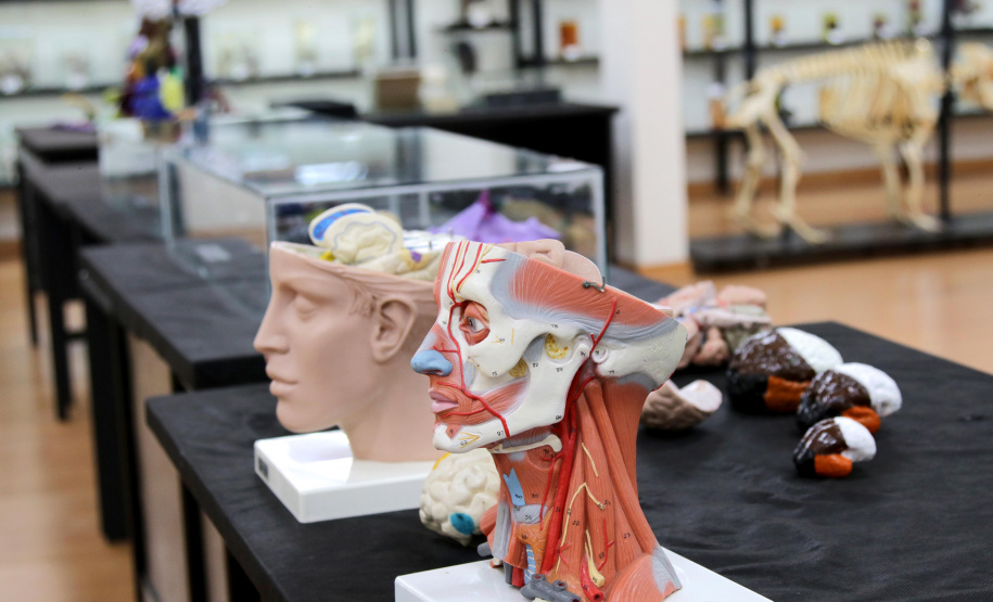 A doação de cadáveres contribui para o ensino da saúde no Paraná