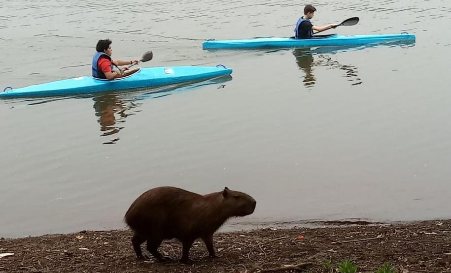 Nota Paraná entrega prêmio de R$ 5.000 para entidades de 24 cidades